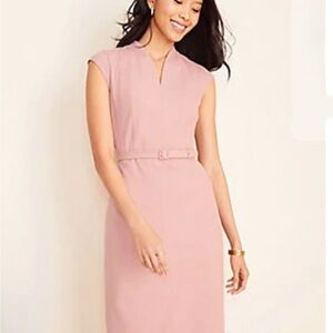 Ann Taylor Pink Midi Dress